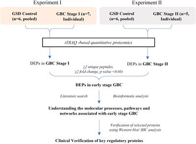 Quantitative tissue proteome profile reveals neutrophil degranulation and remodeling of extracellular matrix proteins in early stage gallbladder cancer